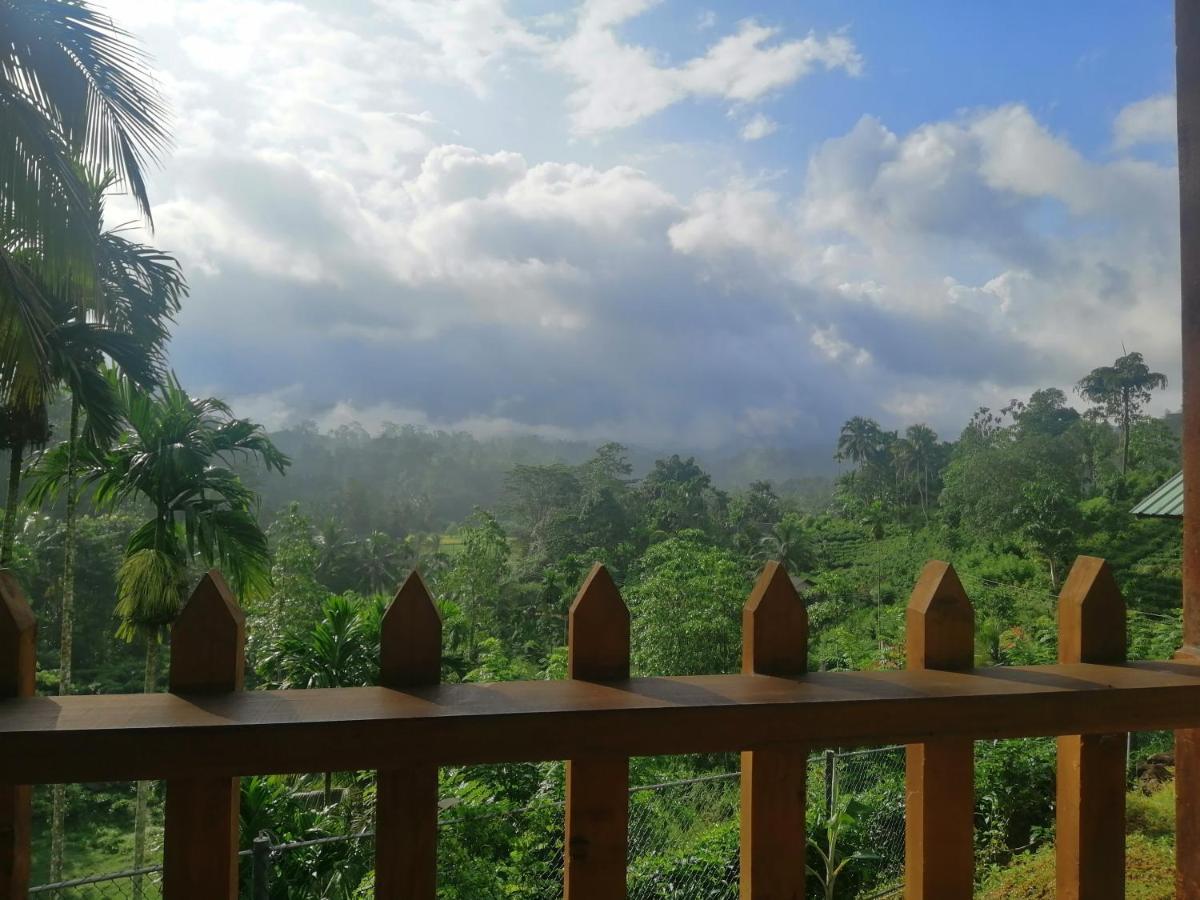 Rainforest Mount Lodge Deniyaya Εξωτερικό φωτογραφία